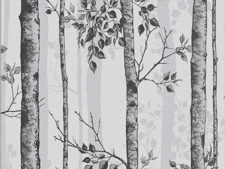 Albero Wallpaper Sample Swatch For Sale