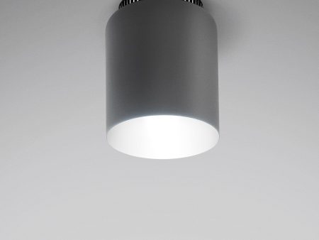 Aspen C17 Flush Mount Online now