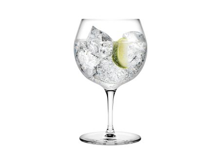 Vintage Gin Tonic Glass (Set of 4) Hot on Sale