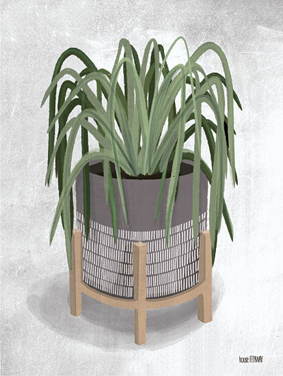 FEN114 - Spider Plant - 12x16 Online now