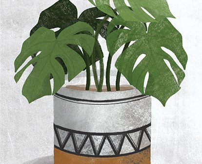 FEN113 - Monstera Plant - 12x16 Sale